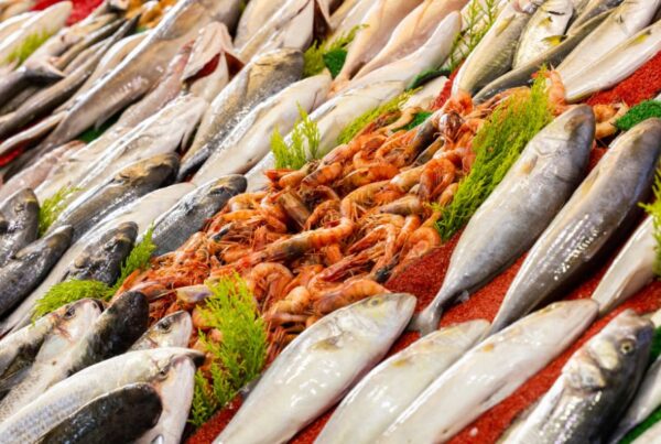 Come Riconoscere (e Conservare) il Pesce Davvero Fresco