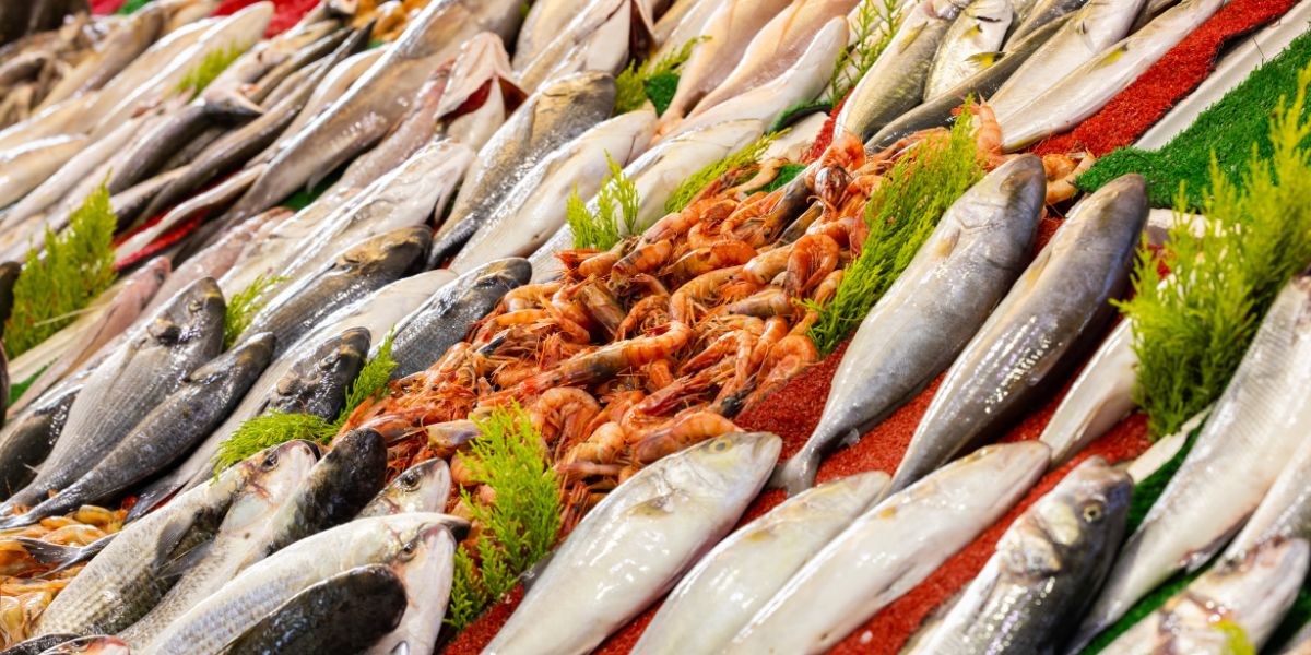 Come Riconoscere (e Conservare) il Pesce Davvero Fresco